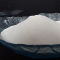 Which Magnesium Supplement is Best for You?